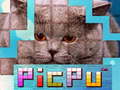เกม PicPu Cat 