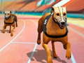 เกม Dogs3D Races