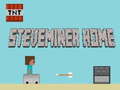 เกม Steveminer Home