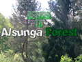 เกม Return To Alsunga Forest