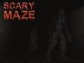 เกม Scary Maze