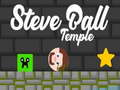 เกม Steve Ball Temple