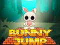 เกม Bunny Jump