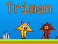 เกม Triman