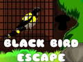 เกม Black Bird Escape