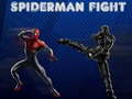 เกม Spiderman Fight