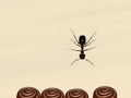 เกม Smash All Ants