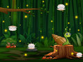 เกม Snail Run