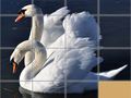 เกม Animals Slide Puzzle