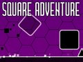 เกม Square Adventure