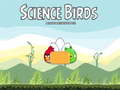 เกม Science Birds