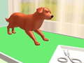 เกม Pet Care