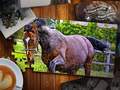 เกม Jigsaw Puzzle Horses Edition