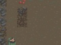เกม The Survival