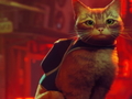 เกม Stray