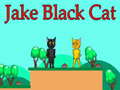 เกม Jake Black Cat