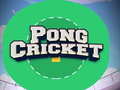 เกม Pong Cricket
