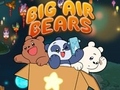 เกม Big Air Bears