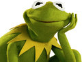 เกม Coloring Book For Kermit the Frog 