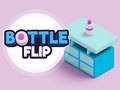 เกม Bottle Flip