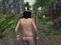 เกม Wounded Summer