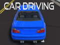 เกม Car Driving