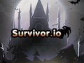 เกม Survivor.io