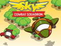 เกม Sky Combat Squardom