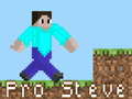 เกม Pro Steve