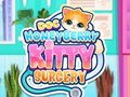 เกม Doc HoneyBerry Kitty Surgery