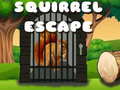 เกม Squirrel Escape