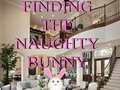 เกม Finding The Naughty Bunny