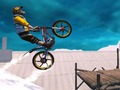เกม Trial Bike Epic Stunts