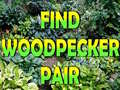 เกม Find Woodpecker Pair 