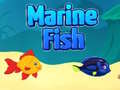เกม Marine Fish