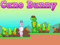 เกม Cano Bunny