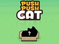 เกม Push Push Cat