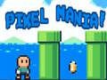 เกม Pixel Mania!