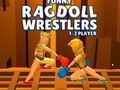 เกม Funny Ragdoll Wrestlers