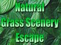 เกม Natural Grass Scenery Escape