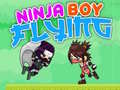 เกม Ninja Boy Flying