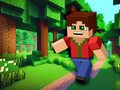 เกม Minicraft