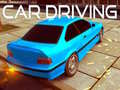 เกม Car Driving