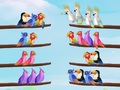 เกม Bird Sort Puzzle