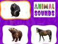 เกม Animal Sounds