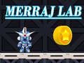 เกม Merraj Lab