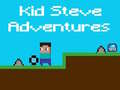 เกม Kid Steve Adventures