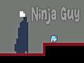 เกม Ninja Guy