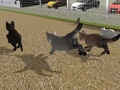 เกม Run Cat Cat Race