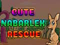 เกม Cute Nabarlek Rescue